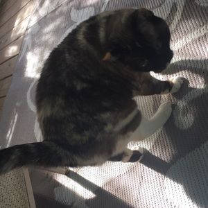 Meet your Posher, Janette